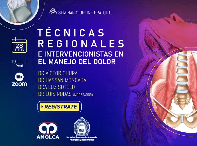 Seminario Online Sociedad Anestesia - Técnicas Regionales e Intervencionistas en el manejo del Dolor