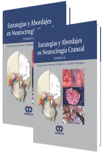 Estrategias y Abordajes en Neurocirugía Craneal